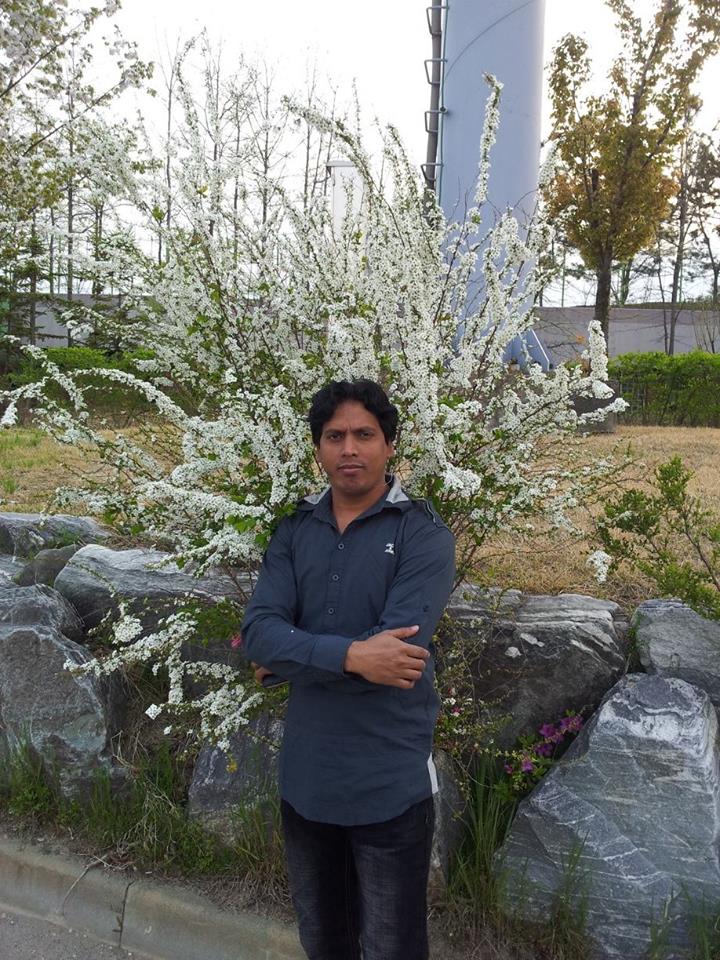 1368925_595499303825676_207975550_n