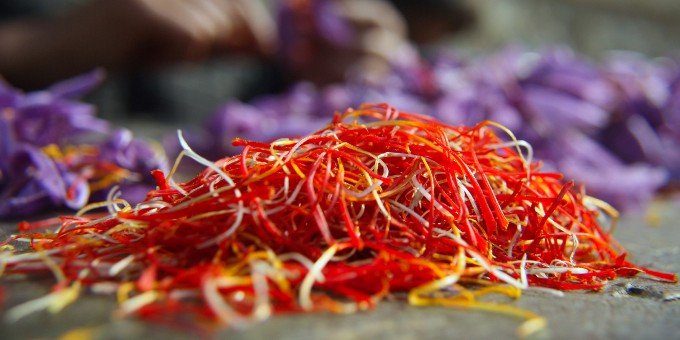 Saffron The Most Costly Spice