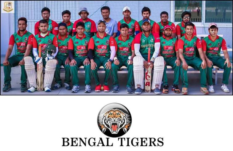 bengal-tigers