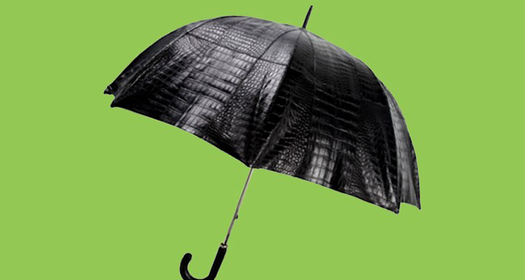 Most-Expensive-Umbrella