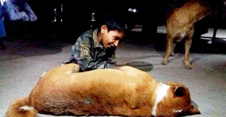 Tangail-Dog-and-Fokhra