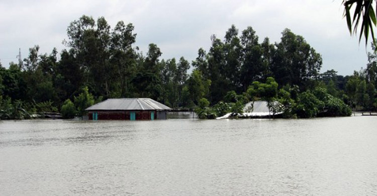 Thakurgaon-Flood