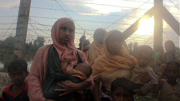 rohinga