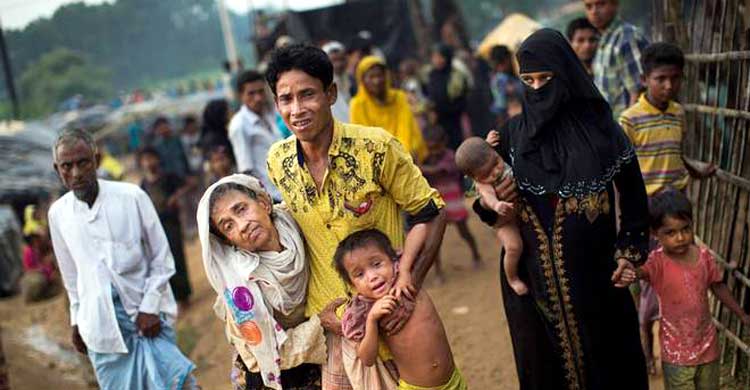 rohingya