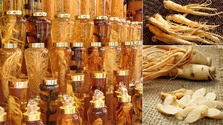 Korean-Ginseng