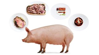 pig-meat