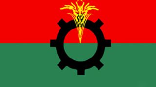 bnp-logo-flag