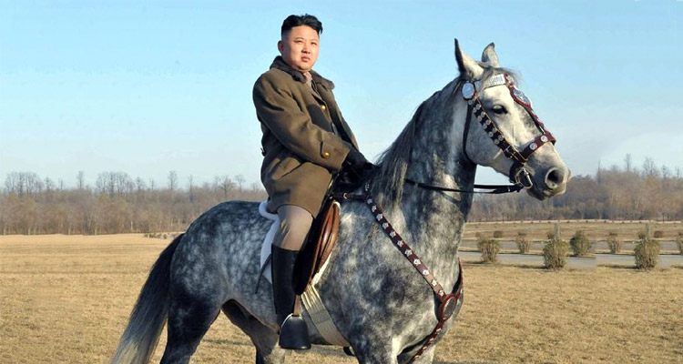 Kim-Horse