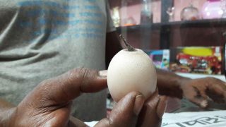 rajshahi-egg