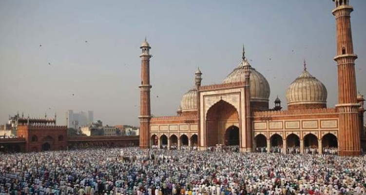 mosqu in delhi