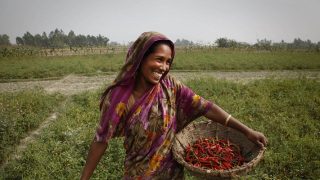 bangladesh-farmar
