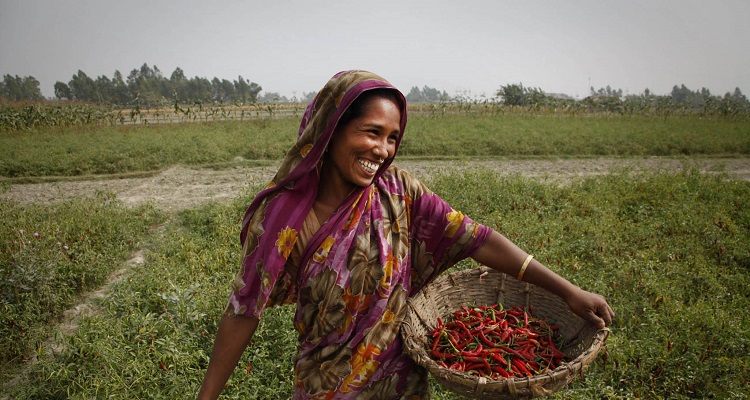 bangladesh-farmar