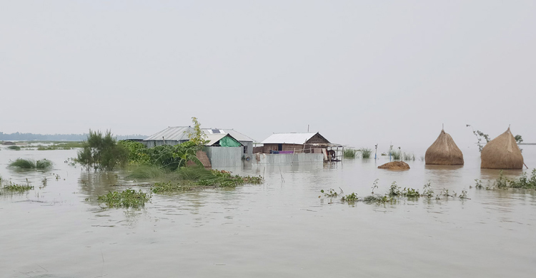 kurigram-flood