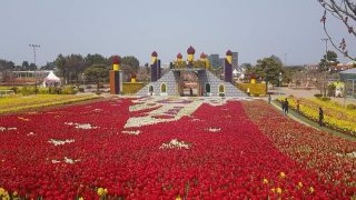 korea-flower-festival
