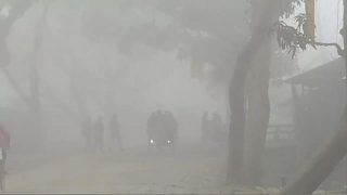 ঘন কুয়াশায় নামবে তাপমাত্রা, পড়বে আরও শীত