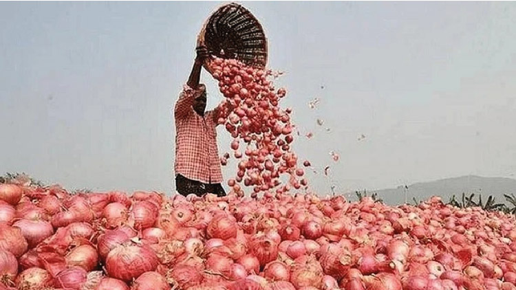 ভারতের শুল্ক প্রত্যাহার, দেশে পেঁয়াজের দাম কমতে পারে