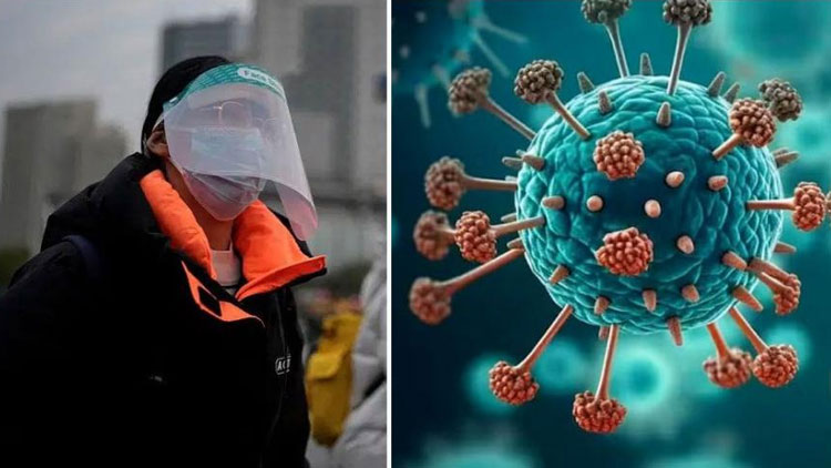 চীনে ২০টি নতুন ভাইরাসের সন্ধান