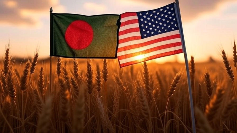 বাণিজ্যঘাটতি কমাতে যুক্তরাষ্ট্র থেকে গম আমদানি করবে বাংলাদেশ