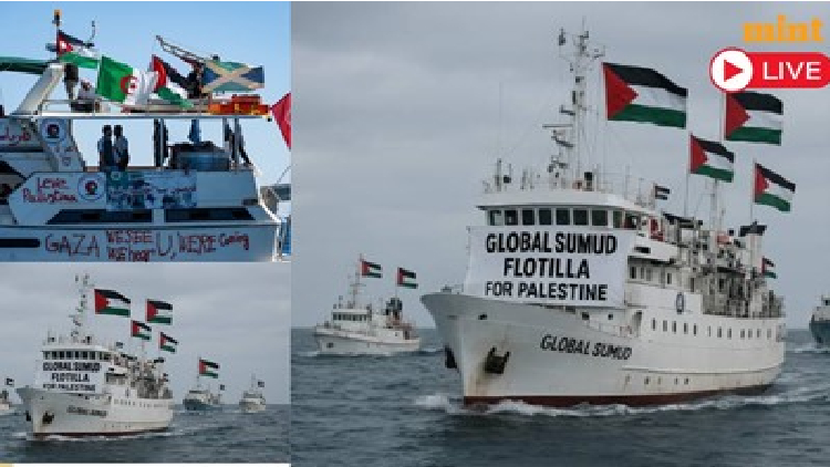 Flotilla feature inner 5