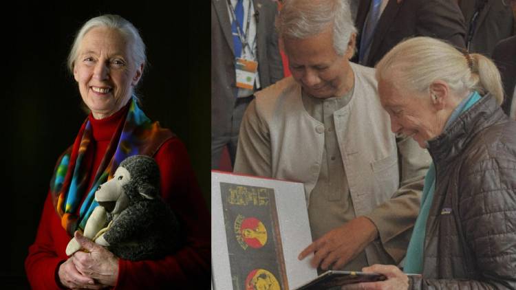 Jane-Goodall-Yunus