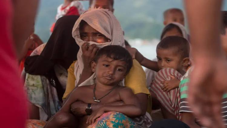 rohingya