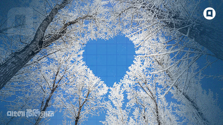 Winter romance cover