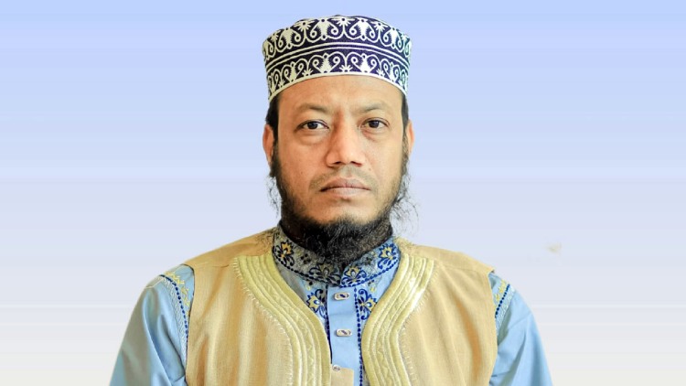 amir-hamja
