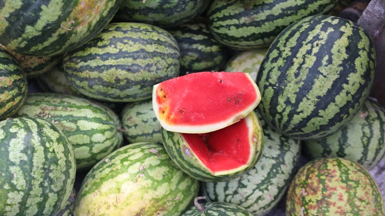 Water melon