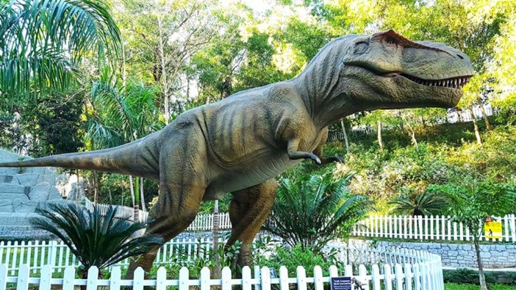 Dino-Park-Comilla