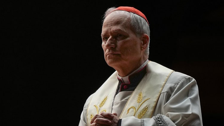 সর্বশক্তিমান হওয়ার বিভ্রমই এই সংঘাতকে উসকে দিচ্ছে: পোপ লিও চতুর্দশ