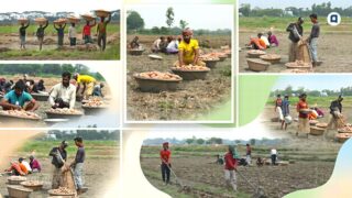 Potato Photo feature