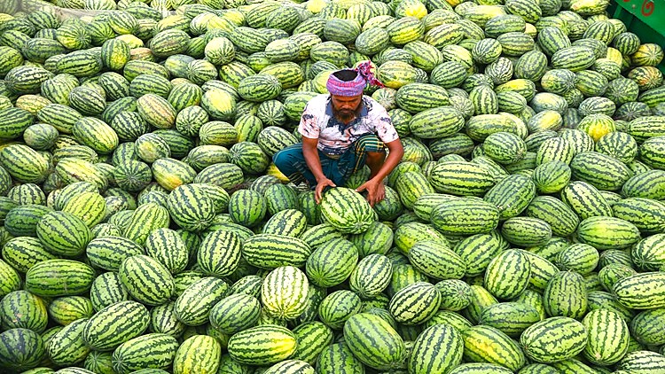 water melon