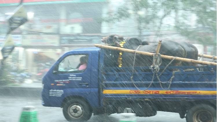 Dhaka Rain