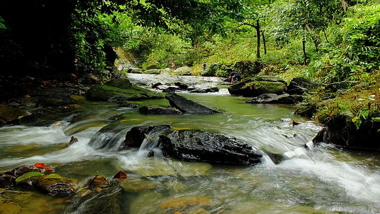 Khaiyachari