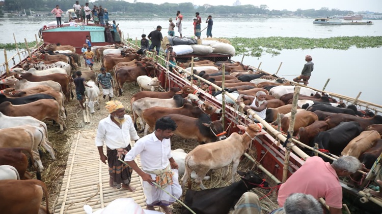 Qurbani
