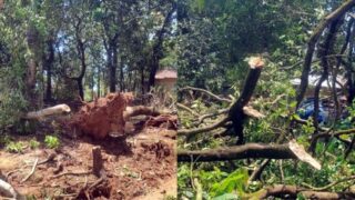 gazipur-storm