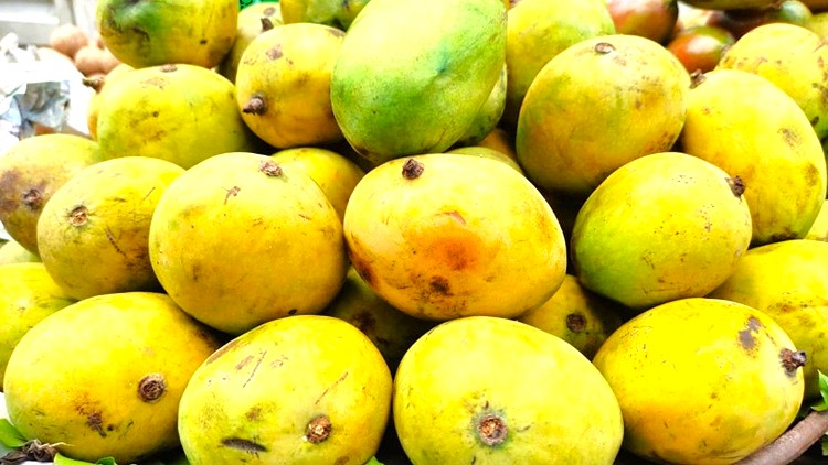 mango