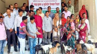 naogaon