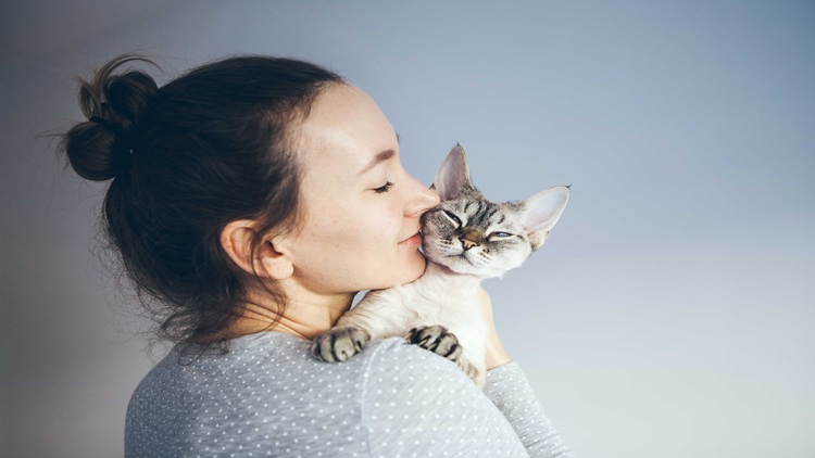 Cat Lover