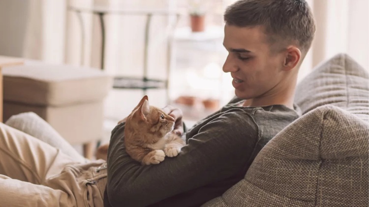 Cat Lover