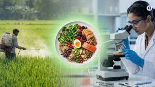 world food day