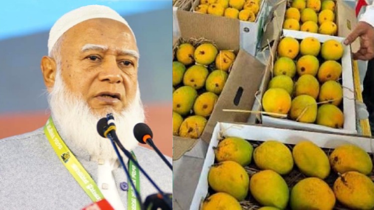 mango