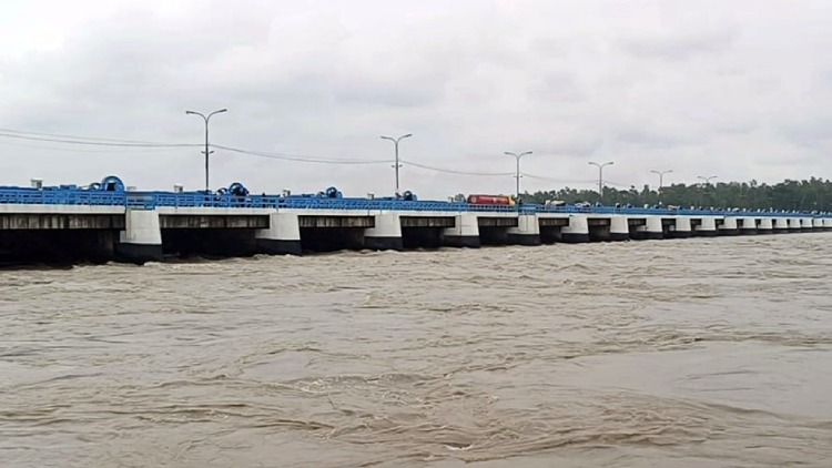 tista